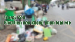 Từ ngày 25/8: Phạt tiền nếu không phân loại rác thải