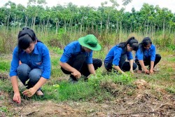 Phê duyệt Chương trình “Hỗ trợ thanh niên khởi nghiệp” giai đoạn 2022 - 2030