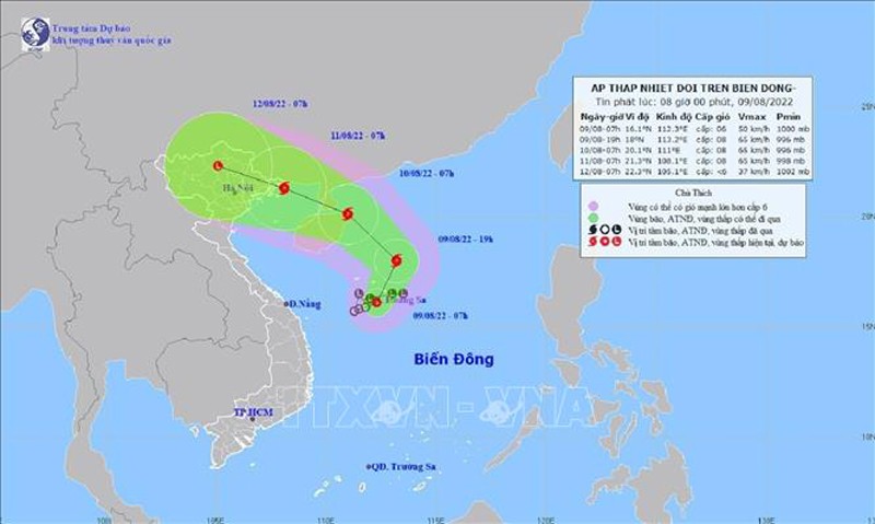 Chủ động ứng phó với áp thấp nhiệt đới có khả năng mạnh lên thành bão