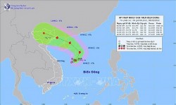 Chủ động ứng phó với áp thấp nhiệt đới có khả năng mạnh lên thành bão