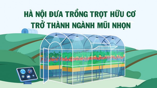 Hà Nội đưa trồng trọt hữu cơ trở thành ngành mũi nhọn