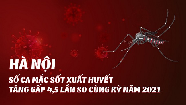 Hà Nội số ca mắc sốt xuất huyết  tăng gấp 4,5 lần so cùng kỳ năm 2021