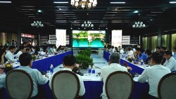 Quảng Ninh: Nhận diện giá trị, bảo tồn và phát huy Quần thể di tích Thương cảng Vân Đồn