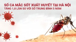 Hà Nội ghi nhận 3.800 ca mắc sốt xuất huyết, 5 người đã tử vong