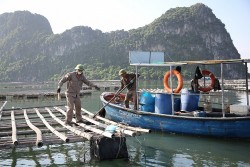 Quảng Ninh: Khai trừ khỏi Đảng đối với 4 cán bộ TP Cẩm Phả về hành vi nhận hối lộ