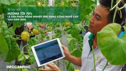 Hà Nội hướng tới 70% là sản phẩm nông nghiệp ứng dụng công nghệ cao vào năm 2025