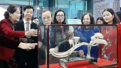 Thường Tín đoạt hai giải nhất cuộc thi thiết kế thủ công mỹ nghệ 2022