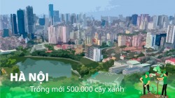 Hà Nội: Trồng mới 500.000 cây xanh