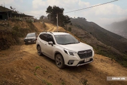 Khám phá Subaru Forester 2023 "đáng yêu" cho người "biết yêu"