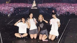 "Méo mặt" vì "ôm" vé concert BlackPink