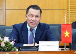 Ông Đặng Hoàng An giữ chức Chủ tịch EVN
