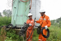 Hà Nội: Cảnh báo tình trạng trộm thiết bị trên lưới điện