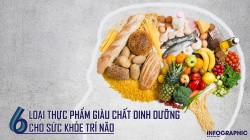 6 loại thực phẩm giàu chất dinh dưỡng cho sức khỏe trí não