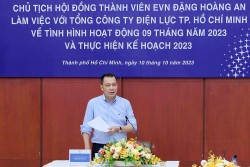 Chủ tịch HĐTV Tập đoàn Điện lực Việt Nam làm việc với Tổng Công ty Điện lực TP HCM