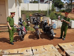 Đắk Nông: Triệt phá nhóm trộm cắp tài sản liên tỉnh