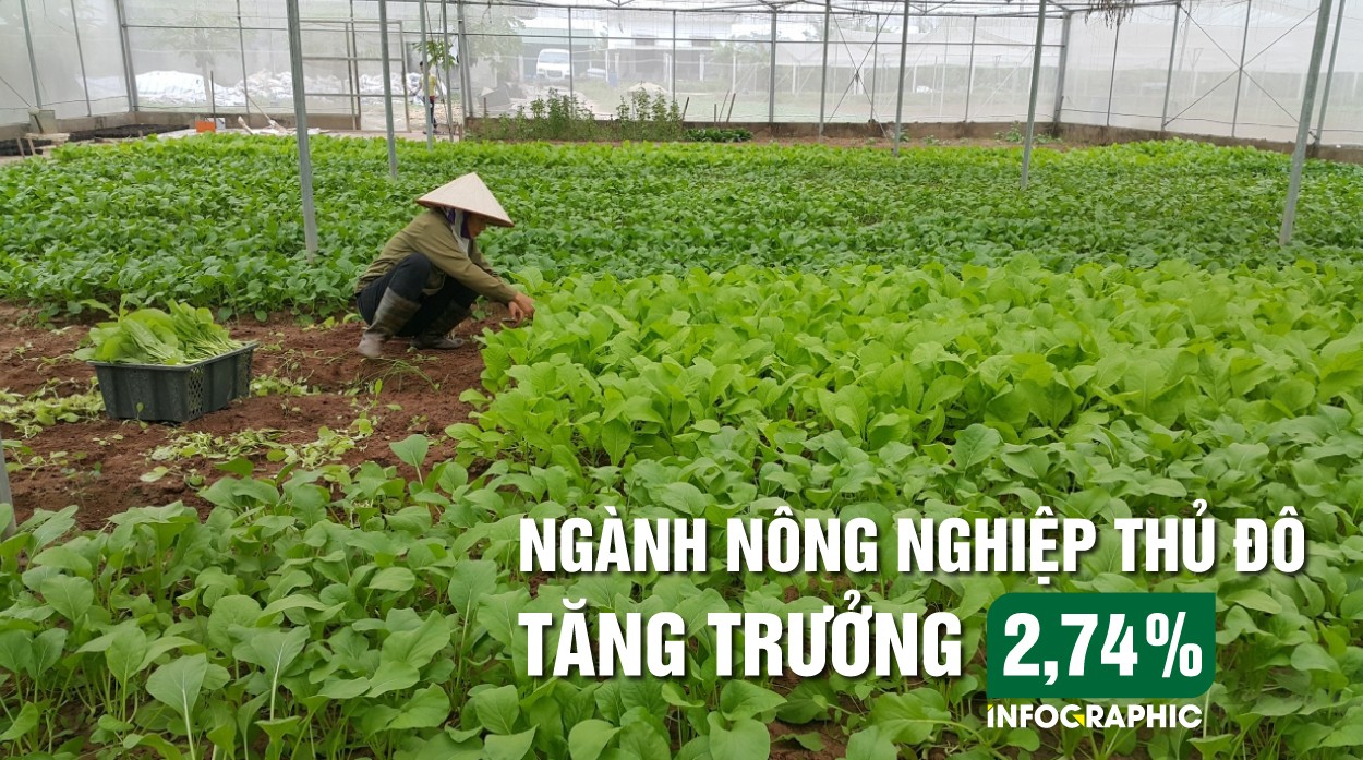 Ngành Nông nghiệp Thủ đô tăng trưởng 2,74%