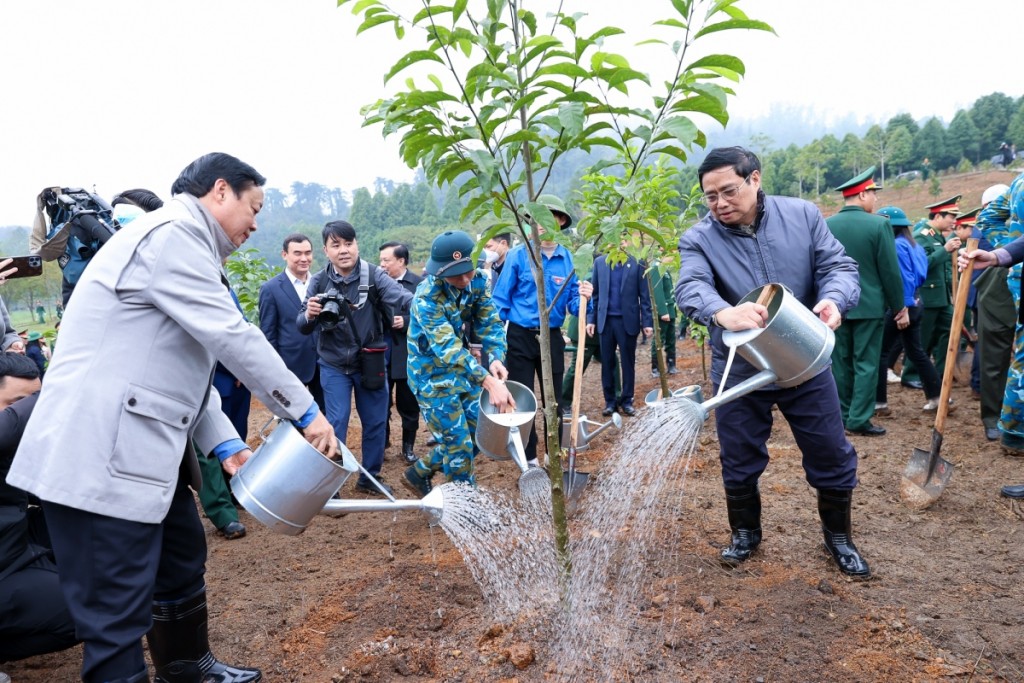 Triển khai “Tết trồng cây đời đời nhớ ơn Bác Hồ” thiết thực, hiệu quả