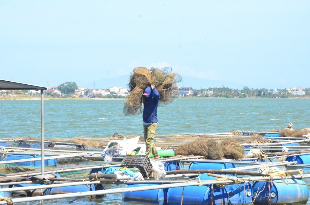 Chấm dứt tình trạng khai thác thủy sản bất hợp pháp