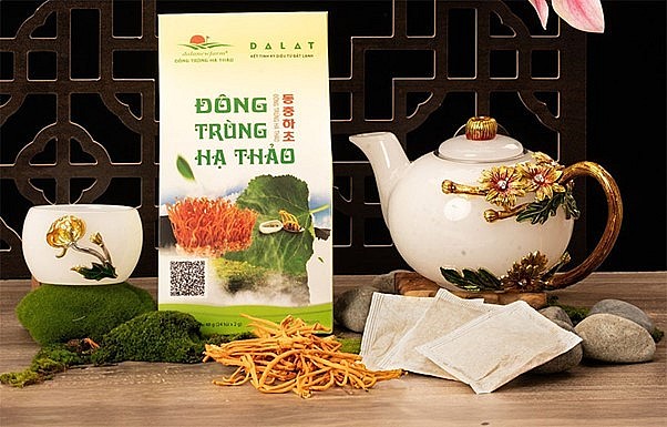 Đông trùng hạ thảo Đà Lạt Dalanewfarm: Sự lựa chọn hoàn hảo cho sức khỏe