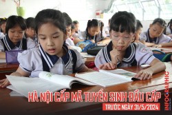 Hà Nội: Cấp mã tuyển sinh đầu cấp trước ngày 31/5