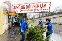 Những điều nên làm sau khi bão Yagi đi qua