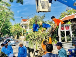 Thừa Thiên - Huế tổ chức “Ngày chủ nhật xanh” khắc phục hậu quả cơn bão số 5