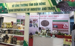 Hơn 270 doanh nghiệp tham gia hội chợ Hành lang kinh tế Đông Tây - Đà Nẵng 2020