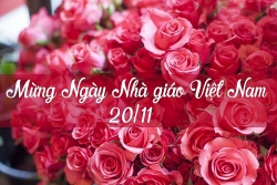 Những lời chúc ngày 20/11 của học trò cũ gửi đến thầy, cô giáo