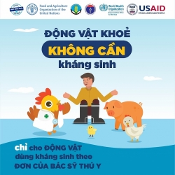 Thông điệp “Hãy dùng kháng sinh đúng cách vì tương lai của chính chúng ta”