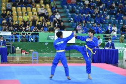 1.200 vận động viên học sinh sôi nổi tranh tài tại Giải Vovinam Việt võ đạo Cúp Nestlé MILO 2022