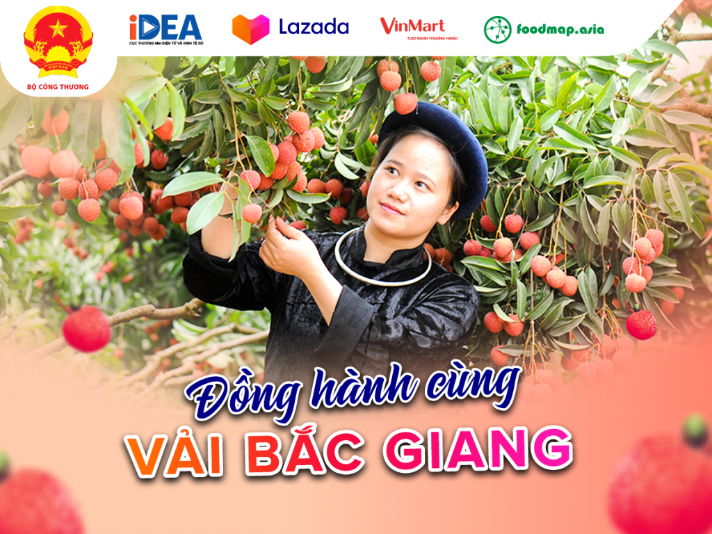 Lazada hợp tác cùng các đối tác hỗ trợ tiêu thụ vải thiều Bắc Giang