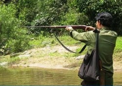 Nghệ An: Nam thanh niên tử vong do súng cướp cò