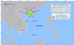 Bão số 3 tăng cấp nhanh và duy trì sức gió mạnh