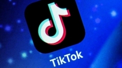 TikTok ra mắt tính năng hỗ trợ người dùng mắc chứng động kinh cảm quang