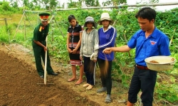 Giải pháp bố trí Đội viên Dự án thí điểm tuyển chọn trí thức trẻ tình nguyện về các xã