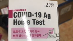 Vận chuyển 400 hộp test Covid-19 nhập lậu: Chủ hàng bị phạt 60 triệu đồng