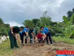 “Đường hoa đào biên giới” chào mừng Đại hội đại biểu Đảng bộ tỉnh Lạng Sơn