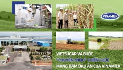 Vietsugar và bước “chuyển mình” chiến lược mang đậm dấu ấn của Vinamilk