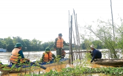 An Giang: Khởi tố vụ án hình sự “Tổ chức cho người khác nhập cảnh trái phép” liên quan ca nhiễm Covid-19 mới