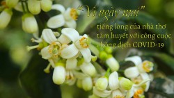 “Vì ngày mai” - tiếng lòng của nhà thơ tâm huyết với công cuộc chống dịch COVID-19