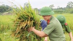 Chiến sĩ công an, thanh niên dầm mình trong nước giúp dân gặt lúa