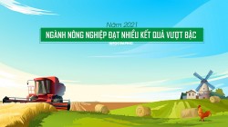 Năm 2021: Ngành nông nghiệp đạt nhiều kết quả vượt bậc