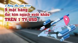 9 mặt hàng đạt kim ngạch xuất khẩu trên 1 tỷ USD trong 2 tháng đầu năm 2022