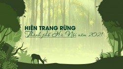 Hiện trạng rừng thành phố Hà Nội năm 2021