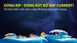 Cảnh báo dòng "Rip" - tử thần gần bờ biển