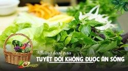 Những loại rau tuyệt đối không được ăn sống