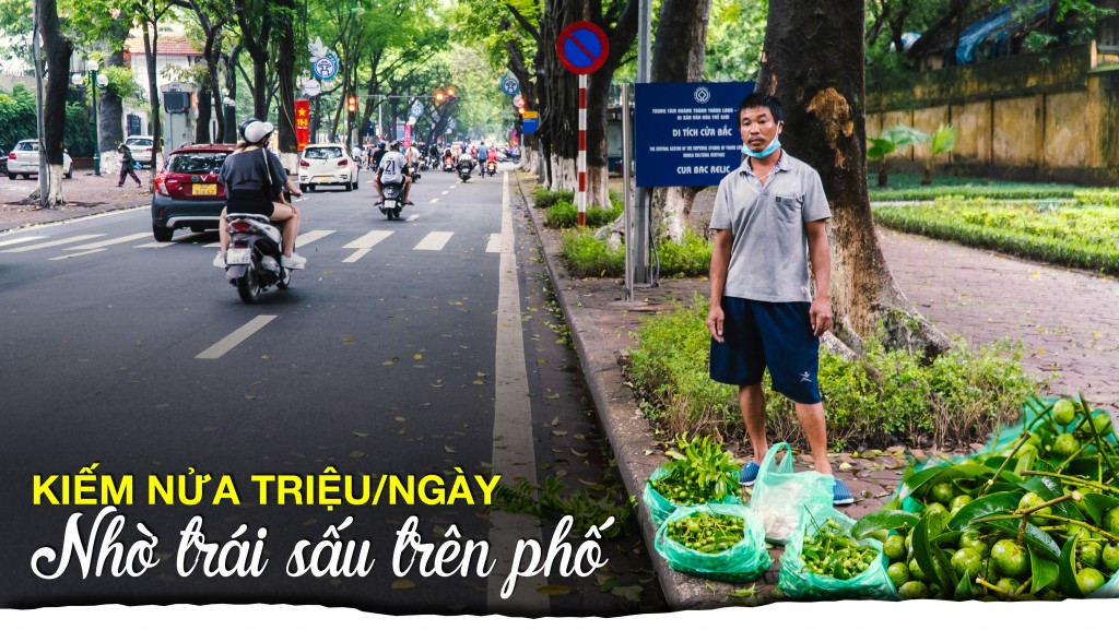 Hà Nội: Kiếm nửa triệu mỗi ngày nhờ trái sấu trên phố