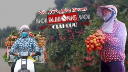 Bài 2: Nói không với "giải cứu"