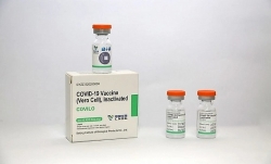 Vaccine Vero Cell hiệu lực bảo vệ tới 79%