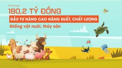 TP Hà Nội chi 180,2 tỷ đồng đầu tư nâng cao năng suất, chất lượng giống vật nuôi, thủy sản